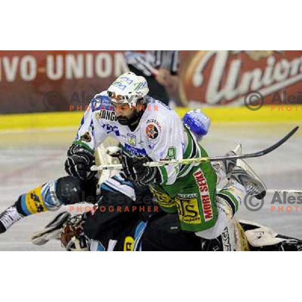 Intranuovo flies over Penker at sixth ice-hockey game of semi-final of EBEL league between ZM Olimpija- Black Wings Linz in Hala Tivoli, Ljubljana 9.3.2008. ZM Olimpija won the game 2:0 and series 4:2 and advanced to final. Photo by Ales Fevzer 
