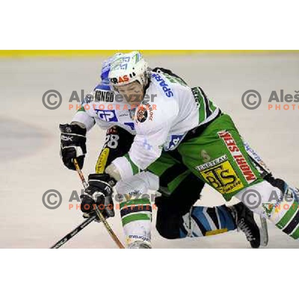 Egon Muric at sixth ice-hockey game of semi-final of EBEL league between ZM Olimpija- Black Wings Linz in Hala Tivoli, Ljubljana 9.3.2008. ZM Olimpija won the game 2:0 and series 4:2 and advanced to final. Photo by Ales Fevzer 