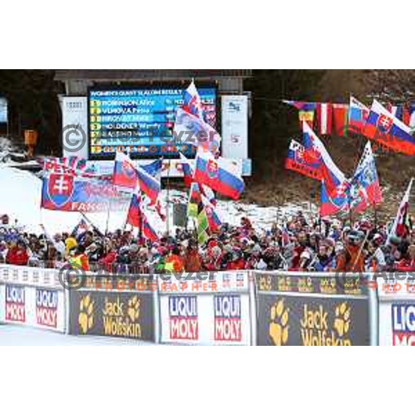 AUDI FIS Alpine Ski World Cup Giant Slalom for 56. Golden Fox Trophy in Kranjska gora, Slovenia on February 15, 2020