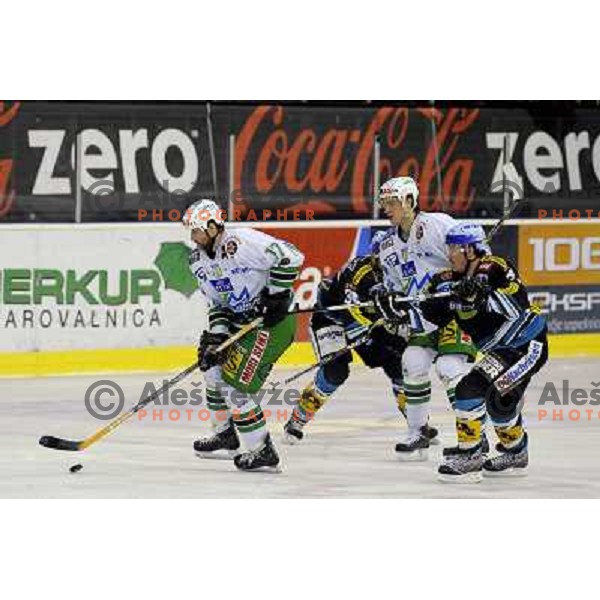 Zupancic and Pavlin at sixth ice-hockey game of semi-final of EBEL league between ZM Olimpija- Black Wings Linz in Hala Tivoli, Ljubljana 9.3.2008. ZM Olimpija won the game 2:0 and series 4:2 and advanced to final. Photo by Ales Fevzer 