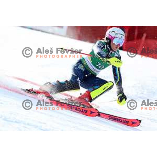 Magdalena Fjaellstroem skiing in the first run of AUDI FIS Alpine Ski World Cup Slalom for 56. Golden Fox Trophy in Kranjska gora, Slovenia on February 16, 2020