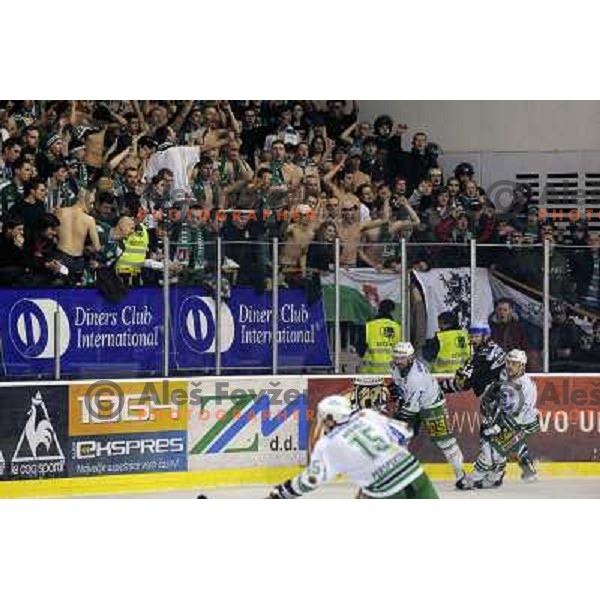 Green Dragons at sixth ice-hockey game of semi-final of EBEL league between ZM Olimpija- Black Wings Linz in Hala Tivoli, Ljubljana 9.3.2008. ZM Olimpija won the game 2:0 and series 4:2 and advanced to final. Photo by Ales Fevzer 