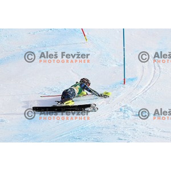 Anna Swenn Larsson (SWE) crashed just few gates before the finish line of AUDI FIS Alpine Ski World Cup Slalom for 56. Golden Fox Trophy in Kranjska gora, Slovenia on February 16, 2020