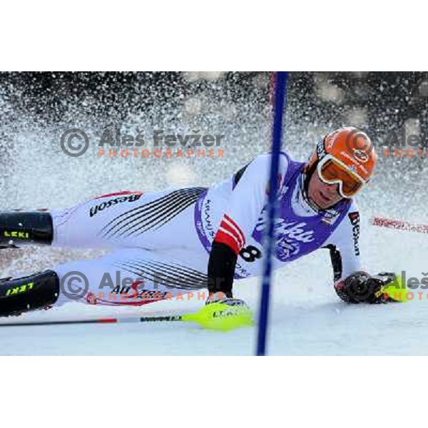 Andreas Omminger (AUT) in first run of Audi FIS Alpine Ski World Cup Slalom in Kranjska gora, Slovenia on 9th of March 2008. Photo by Ales Fevzer 