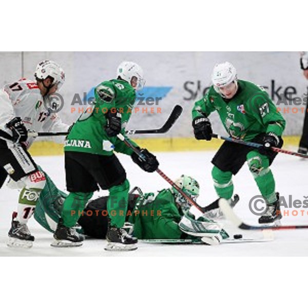 Zan Us of SZ Olimpija in action during Alps League ice-hockey match between SZ Olimpija and Rittner Buam in Tivoli Hall, Ljubljana, Slovenia on February 25, 2020