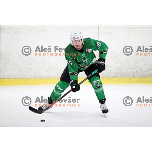 Anze Ropret of SZ Olimpija in action during Alps League ice-hockey match between SZ Olimpija and Rittner Buam in Tivoli Hall, Ljubljana, Slovenia on February 25, 2020