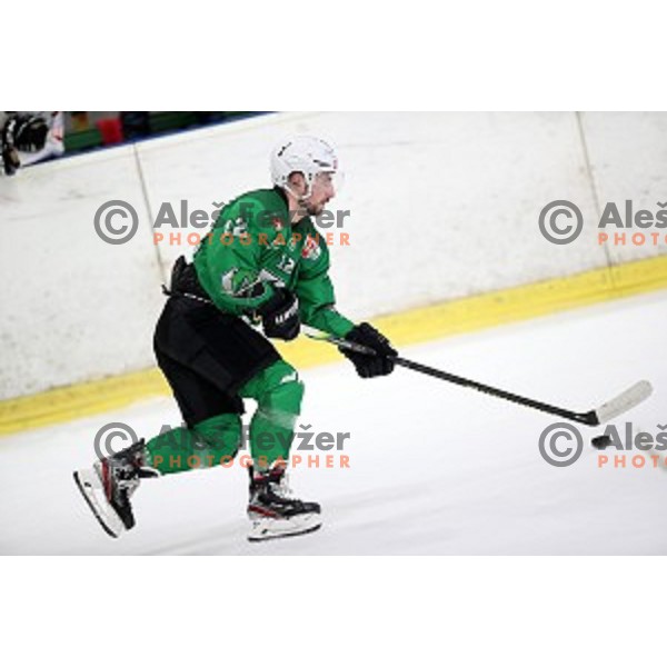 Nik Simsic of SZ Olimpija in action during Alps League ice-hockey match between SZ Olimpija and Rittner Buam in Tivoli Hall, Ljubljana, Slovenia on February 25, 2020