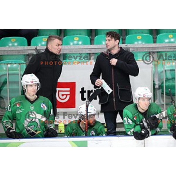 Andrej Hocevar and Gregor Poloncic of SZ Olimpija in action during Alps League ice-hockey match between SZ Olimpija and Rittner Buam in Tivoli Hall, Ljubljana, Slovenia on February 25, 2020
