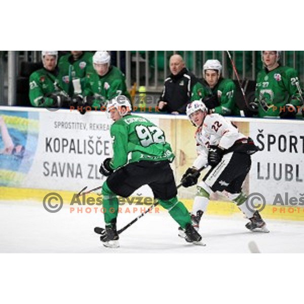 Kristjan Cepon of SZ Olimpija in action during Alps League ice-hockey match between SZ Olimpija and Rittner Buam in Tivoli Hall, Ljubljana, Slovenia on February 25, 2020
