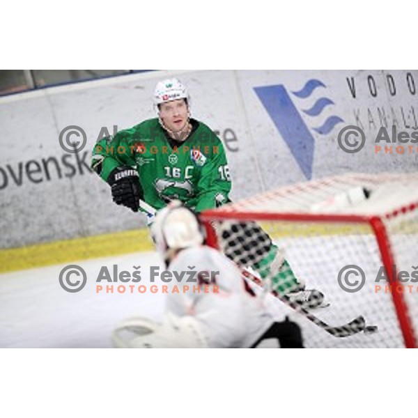 Ales Music of SZ Olimpija in action during Alps League ice-hockey match between SZ Olimpija and Rittner Buam in Tivoli Hall, Ljubljana, Slovenia on February 25, 2020