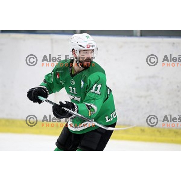 Ziga Pesut of SZ Olimpija in action during Alps League ice-hockey match between SZ Olimpija and Rittner Buam in Tivoli Hall, Ljubljana, Slovenia on February 25, 2020