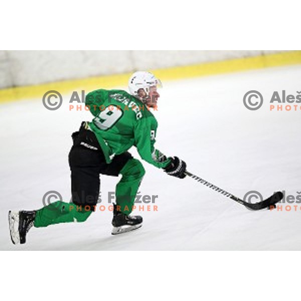 Anej Kujavec of SZ Olimpija in action during Alps League ice-hockey match between SZ Olimpija and Rittner Buam in Tivoli Hall, Ljubljana, Slovenia on February 25, 2020