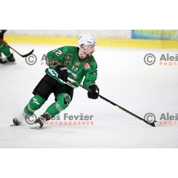 Nik Simsic of SZ Olimpija in action during Alps League ice-hockey match between SZ Olimpija and Rittner Buam in Tivoli Hall, Ljubljana, Slovenia on February 25, 2020