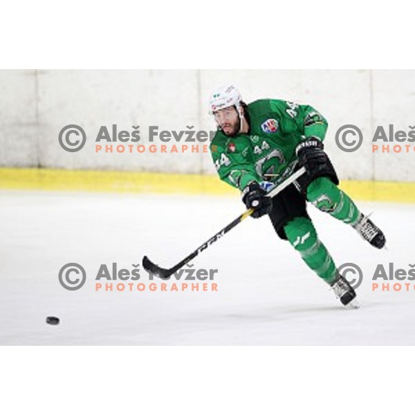 David Planko of SZ Olimpija in action during Alps League ice-hockey match between SZ Olimpija and Rittner Buam in Tivoli Hall, Ljubljana, Slovenia on February 25, 2020
