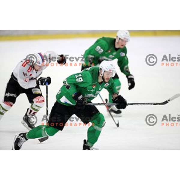 Gal Koren of SZ Olimpija in action during Alps League ice-hockey match between SZ Olimpija and Rittner Buam in Tivoli Hall, Ljubljana, Slovenia on February 25, 2020