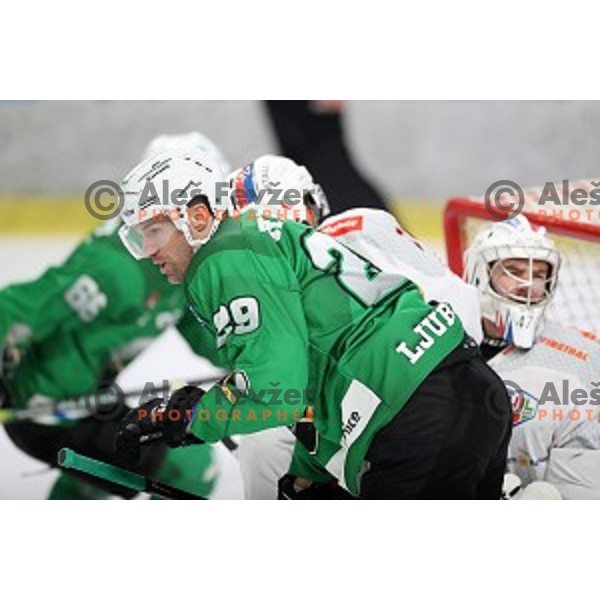 Anze Ropret of SZ Olimpija in action during Alps League ice-hockey match between SZ Olimpija and Rittner Buam in Tivoli Hall, Ljubljana, Slovenia on February 25, 2020