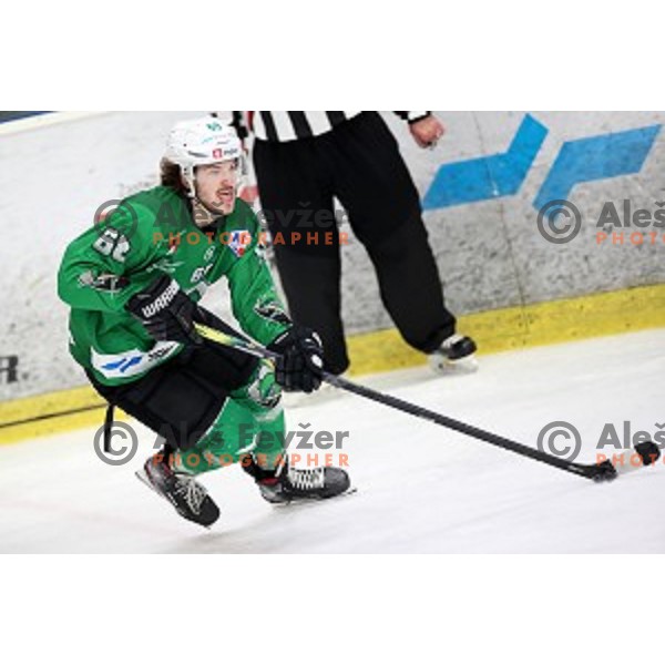 Janez Orehek of SZ Olimpija in action during Alps League ice-hockey match between SZ Olimpija and Rittner Buam in Tivoli Hall, Ljubljana, Slovenia on February 25, 2020