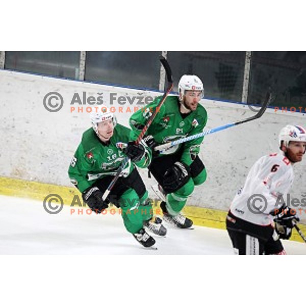 Ales Music and Zan Jezovsek of SZ Olimpija in action during Alps League ice-hockey match between SZ Olimpija and Rittner Buam in Tivoli Hall, Ljubljana, Slovenia on February 25, 2020