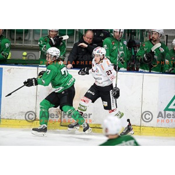 Nejc Brus of SZ Olimpija in action during Alps League ice-hockey match between SZ Olimpija and Rittner Buam in Tivoli Hall, Ljubljana, Slovenia on February 25, 2020