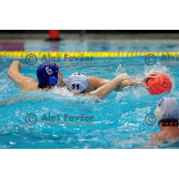 Grasic (6) tries to stop Szabo (11) at match Triglav (SLO)- UTE (Hungary) in semi-final of Alpe Adria water polo league tournament in Kranj 9.3.2008. UTE won the match 10:6 and advanced to final. Photo by Ales Fevzer 