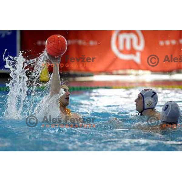 Action at match Triglav (SLO)- ASV Wien (Austria) for third place in Alpe Adria water polo league tournament in Kranj 9.3.2008. Triglav won 24:10. Photo by Ales Fevzer 