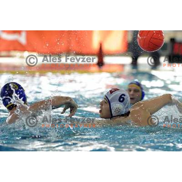 Grasic (6) at match Triglav (SLO)- ASV Wien (Austria) for third place in Alpe Adria water polo league tournament in Kranj 9.3.2008. Triglav won 24:10. Photo by Ales Fevzer 