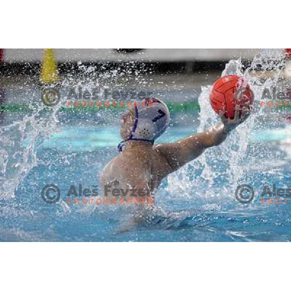 at match Triglav (SLO)- ASV Wien (Austria) for third place in Alpe Adria water polo league tournament in Kranj 9.3.2008. Triglav won 24:10. Photo by Ales Fevzer 