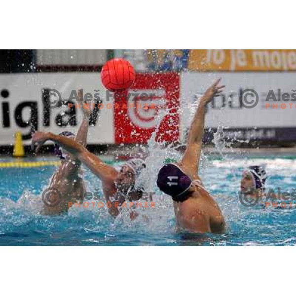Szabo (11) at match UTE (Hungary)- Opatija (Croatia) in final of Alpe Adria water polo league tournament in Kranj 9.3.2008. UTE became champion with victory 16:6. Photo by Ales Fevzer 