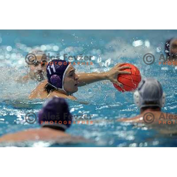 Szabo (11) at match UTE (Hungary)- Opatija (Croatia) in final of Alpe Adria water polo league tournament in Kranj 9.3.2008. UTE became champion with victory 16:6. Photo by Ales Fevzer 