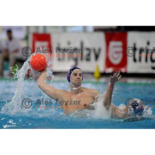 Somogyi at match UTE (Hungary)- Opatija (Croatia) in final of Alpe Adria water polo league tournament in Kranj 9.3.2008. UTE became champion with victory 16:6. Photo by Ales Fevzer 