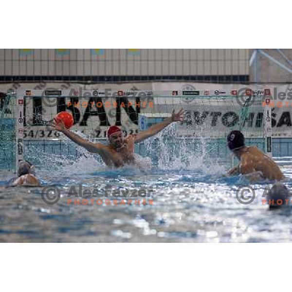 Salamon (9) scores a goal at match UTE (Hungary)- Opatija (Croatia) in final of Alpe Adria water polo league tournament in Kranj 9.3.2008. UTE became champion with victory 16:6. Photo by Ales Fevzer 