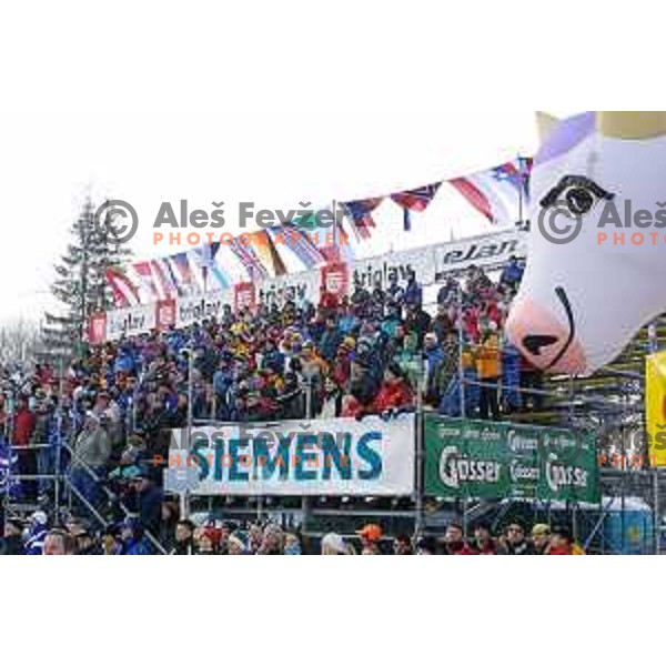 at FIS Alpine World Cup Giant Slalom for Vitranc Cup in Kranjska gora, Slovenia on December 21 , 2001