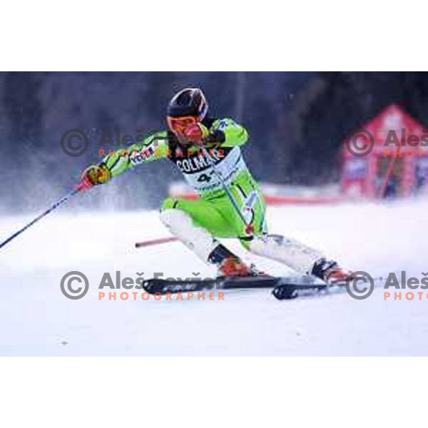Bernard Vajdic at FIS Alpine World Cup Slalom for Vitranc Cup in Kranjska gora, Slovenia on December 22 , 2001