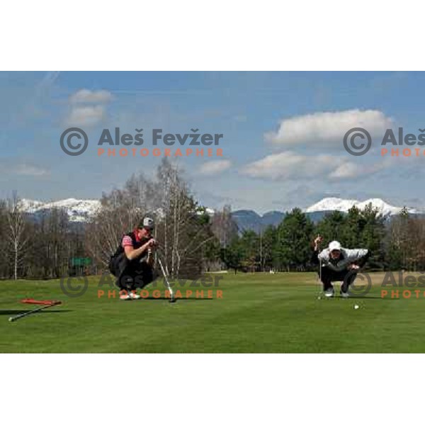 Studying putting line on 7th green during opening day of play in season 2008 at Lakes Golf Course at Bled (Slovenia) on 14.3.2008. Photo by Ales Fevzer 
