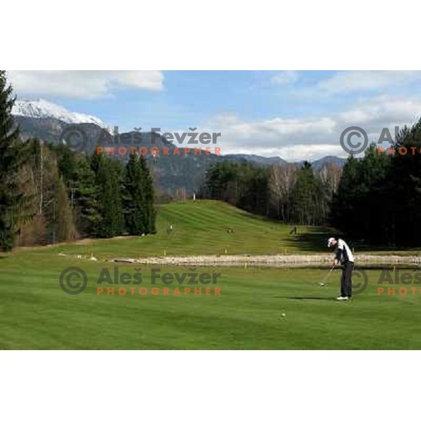 Putting on the 9th green during opening day of play in season 2008 at Lakes Golf Course at Bled (Slovenia) on 14.3.2008. Photo by Ales Fevzer 