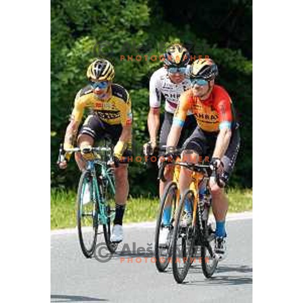 Jan Polanc Jan Tratnik ,Tadej Pogacar, Luka Pibernik, Luka Mezgec, Primoz Roglic Domen Novak, Matej Mohoric during World Cycling day practice in Slovenia on June 3, 2020