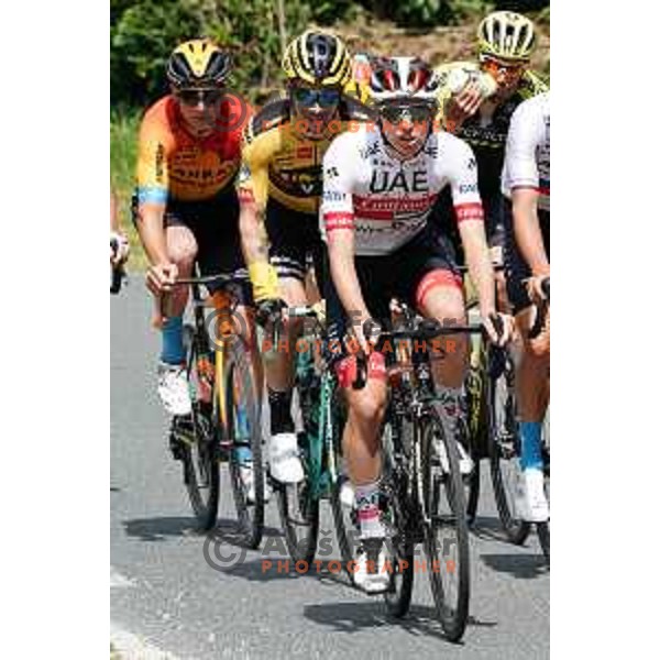 Tadej Pogacar, Primoz Roglic during World Cycling day practice ride in Slovenia on June 3, 2020