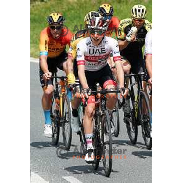 Tadej Pogacar during World Cycling day practice ride in Slovenia on June 3, 2020