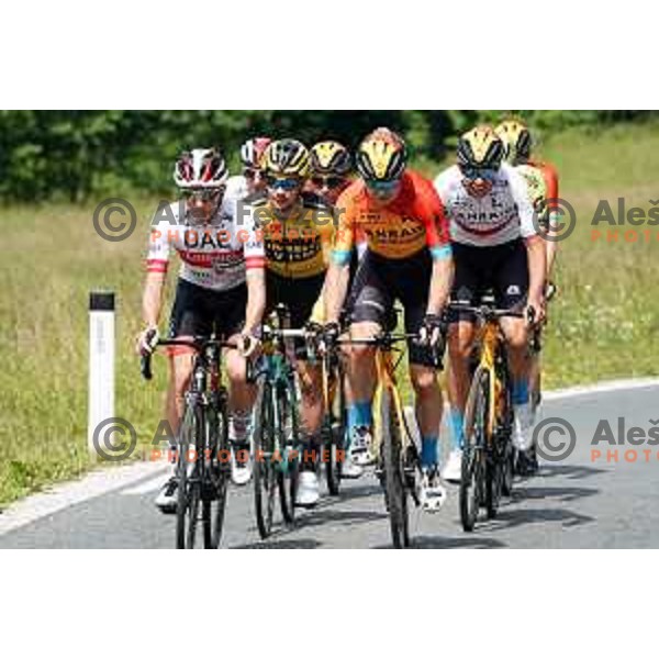 Jan Polanc Jan Tratnik ,Tadej Pogacar, Luka Pibernik, Luka Mezgec, Primoz Roglic Domen Novak, Matej Mohoric during World Cycling day practice in Slovenia on June 3, 2020