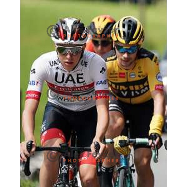 Tadej Pogacar, Primoz Roglic during World Cycling day practice ride in Slovenia on June 3, 2020