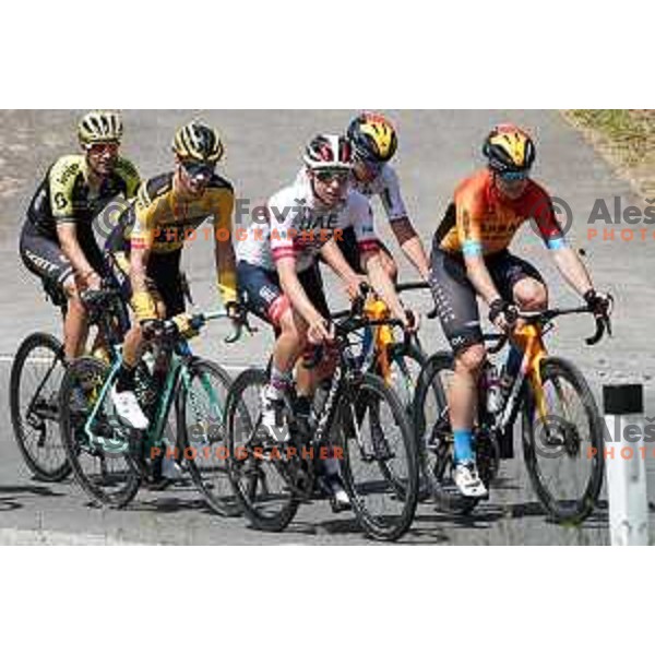 Luka Mezgec, Primoz Roglic Domen Novak, Tadej Pogacar and Jan Tratnik during World Cycling day practice in Slovenia on June 3, 2020