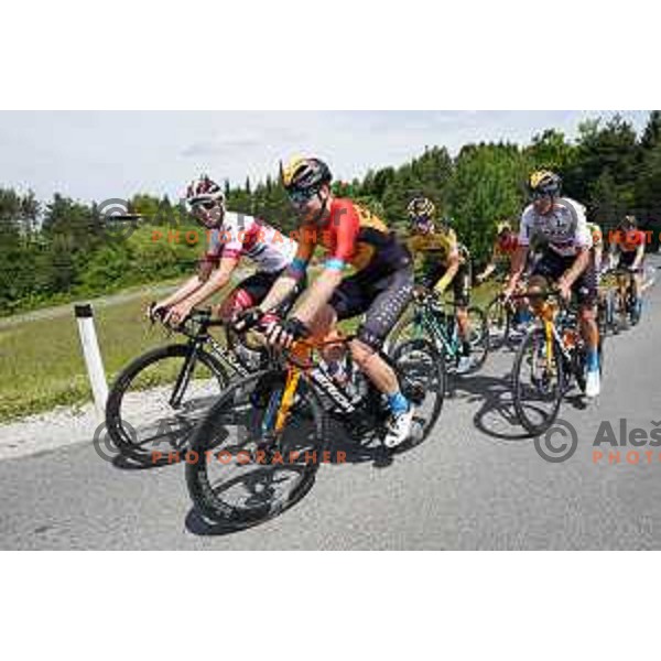 Jan Polanc Jan Tratnik ,Tadej Pogacar, Luka Pibernik, Luka Mezgec, Primoz Roglic Domen Novak, Matej Mohoric during World Cycling day practice in Slovenia on June 3, 2020