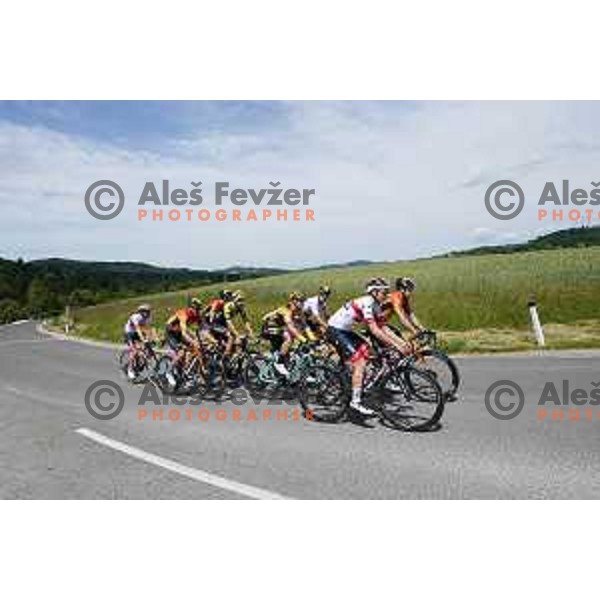 Jan Polanc Jan Tratnik ,Tadej Pogacar, Luka Pibernik, Luka Mezgec, Primoz Roglic Domen Novak, Matej Mohoric during World Cycling day practice in Slovenia on June 3, 2020