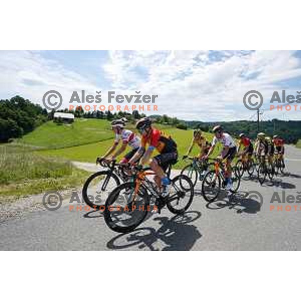 Jan Tratnik ,Tadej Pogacar, Primoz Roglic Domen Novak during World Cycling day practice in Slovenia on June 3, 2020