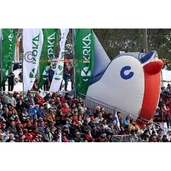 Packed stands at e.on Ruhrgas FIS World Cup Ski jumping competition on 215 meters Flying Hill in Planica (Slovenia) on 14.3.2008. Photo by Ales Fevzer 