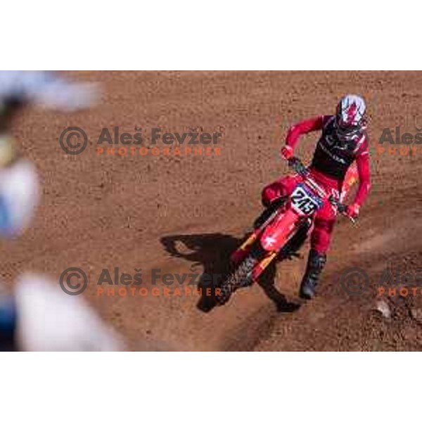 Tim Gajser racing in Motocross MX for National Championship in Stranska vas, Semic Slovenia on June 14 , 2020