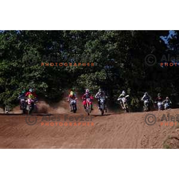 Tim Gajser racing in Motocross MX for National Championship in Stranska vas, Semic Slovenia on June 14 , 2020