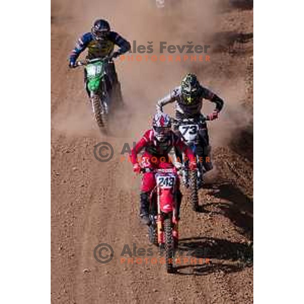 Tim Gajser racing in Motocross MX for National Championship in Stranska vas, Semic Slovenia on June 14 , 2020