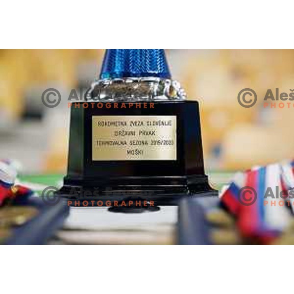 Players of Celje Pivovarna Lasko, winners of Slovenian National Handball Championship in season 2019/2020 in Zlatorog Hall, Celje, Slovenia on June 18 , 2020