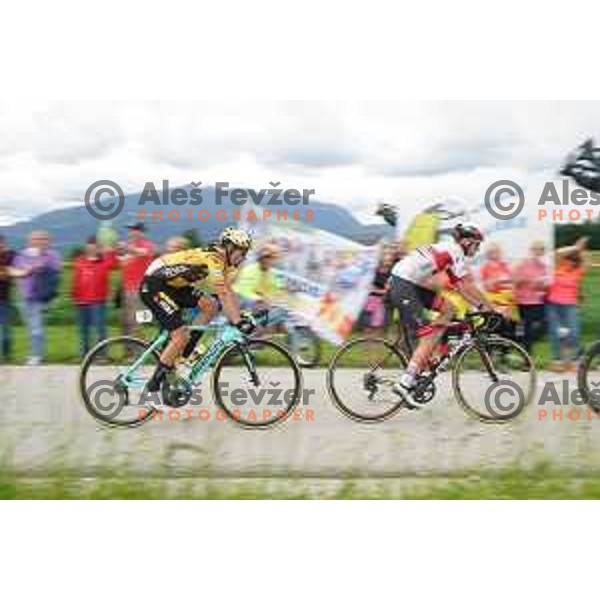 Primoz Roglic, winner and Tadej Pogacar, runner-up of Slovenian Cycling Championships Road Race Cerklje-Ambroz pod Krvavcem, Slovenia on June 21 , 2020